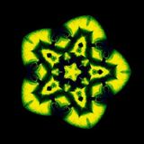 Psychedelic Consciousness