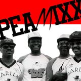 PEAMIXX 10 (Deep Underground Hip Hop And Rap On Fiyah - Mixed By PEABIRD, Oct, 2015)