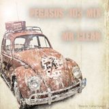 Pegasus 303 Mix 051 with Mr. Clean