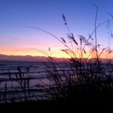 Wintery stuff 2011