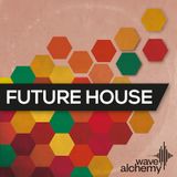 Future House Mix