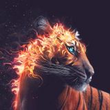 A Journey In Trance Vol. 8.5 : Uplifting revisit