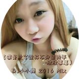 【還是放了說好不分開的手-欣欣專屬】DJ小小鑠 2016 Mix