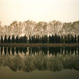 Reflections
