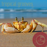 TROPICAL GROOVES vol.1