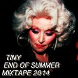 Summer's Last Stand Disco Jams - 2014