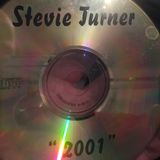 stevie turner hard house 2001