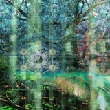Horizon Simiantic AuraBass Set Oct 2014