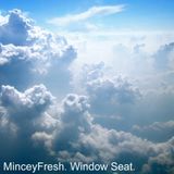 2010 03 - window seat