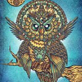 Healing Owl