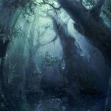 Psychedelic_Tr - Night Forest Trip