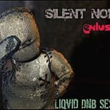 Silent Noise - exklusiv ! Liqvid DnB