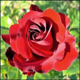 Soulful Affair Vol. 14