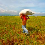 Interview: Shaping international action on social protection and food security