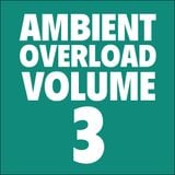 Ambient Overload Vol. 3