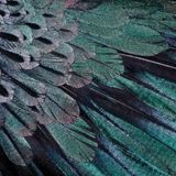 Queasy Listening 20151116