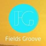 Fields Groove - Episode #1 (short version)
