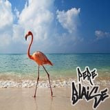 Boucing On The Beach ! mixed by Pere Blaise