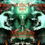 Mindflash - Deep in the Groove #001