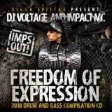 ''Freedom Of Expression'' Voltage (Cabin Fever) & Impact MC