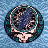 Grateful Dead Gathering #6 - First Set - By Eran Remler