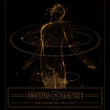 Anatomia De Vanitats - The Anthropic Principle