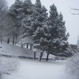 Cousin Silas - Seasons (Mainly Cold Ones)
