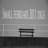 small jan/februari 2011 digs