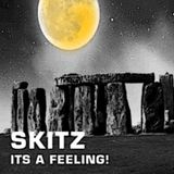 Skitz - Its a Feeling!