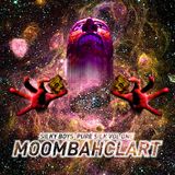 SILKY BOYS - Pure Silk Vol.1: Moombahclart!