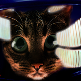 2015: A Lamp Odyssey