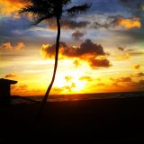 T Cole Endless Summer Mix