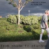 From Shade To Stardom 13.03.2013