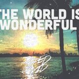 The World is Wonderful