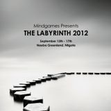 Petar Dundov - Live at Labyrinth Festival 2012, Naeba Greenland, Japan (16-09-2012)