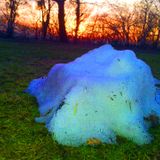 THE HIDDEN SPRING ------DarkPsy------