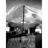 3zoo & Coins - B2B auf Madame Luise