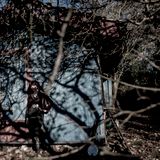 LOST IN TRANSMISSION NO. 24