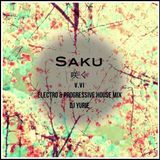 Saku V.IV (Electro & Progressive House Mix)