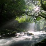 Tranquility Trance Mix - Best of classic relaxing trance!