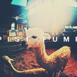 PIST FUMP