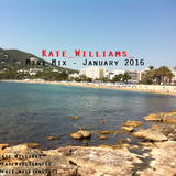 Mini Mix - January 2016
