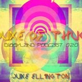 DIGGYLAND PODCAST 020 By Juke Ellington