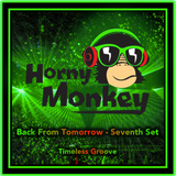 Back From Tomorrow - Seventh Set' Timeless Groove - June 2015 - mixed by Horny Monkey