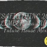 DESAFIO DJINC 2015 - LIMBER aka LÜA - Future House Mix #016