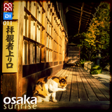 Osaka Sunrise 11