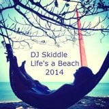 DJ Skiddle - Life's a Beach