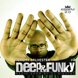 Deep'n'Funky Radio Show #3 Guest Mix by Jeremy Sylvester