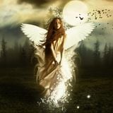 Turbulence of Trance Esthetica 008 - TRANCEMASTER