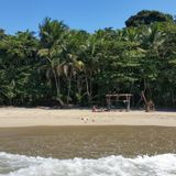 Tropical House Vol 3
